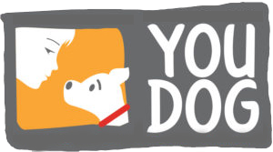 Honden privé training Amsterdam bij YouDog